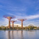 Gardens by the Bay 150x150 - Singapore night view