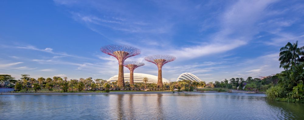 Gardens by the Bay e1571486600231 - Сингапур. Как получить 63 бесплатных услуги