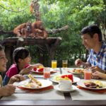 Breakfast 150x150 - Singapore_Zoo