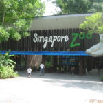 Singapore Zoo 150x150 - STB-Singapore