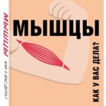мм