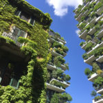 2017 04 17 Isola Bosco Verticale 3 150x150 - 02860d73