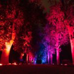 photo4_parkalive