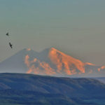 IMG_2401n