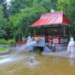 IMG_2537n