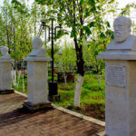 IMG_6910n