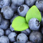berries-2281_1280 (1)