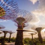 Gardens by the Bay_