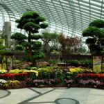 Singapore-Gardens-by-the-Bay-flowers