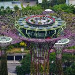 Singapore_Gardens_by_the_Bay_viewed_from_Marina_Bay_Sands_10