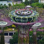 Singapore Gardens by the Bay viewed from Marina Bay Sands 10 150x150 - Singapore-Gardens-by-the-Bay-flowers