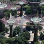 gardens-by-the-bay-4157992_1280