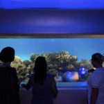 Huvafen Fushi SpaQuarium2