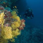 Milaidhoo Maldives 2