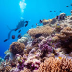Diving_Excursion_2Maagau_Dive_Center_Baglioni_Resort_Maldives